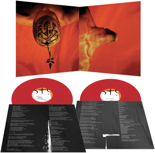 Steve Walsh - Glossolalia - Red