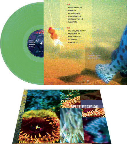 Steve Morse Band - Split Decision - Green