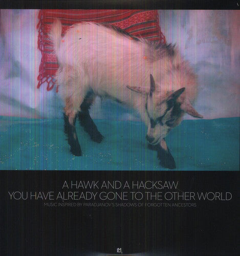 A Hawk and a Hacksaw - You Have Already Gone to the Other World