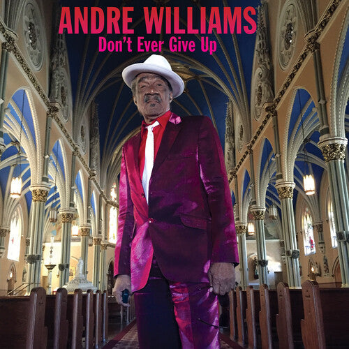 Andre Williams - Dont Ever Give Up