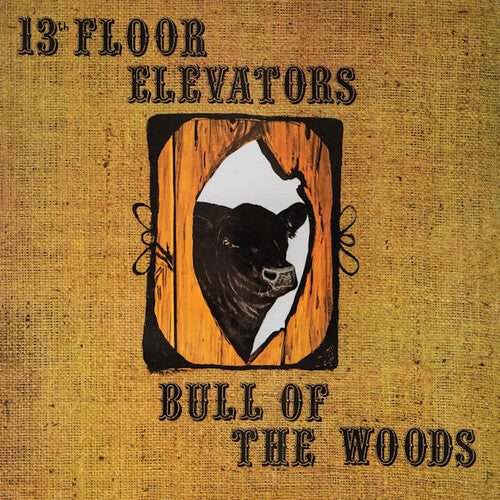 The 13th Floor Elevators - Bull Of The Woods