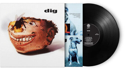 Directions in Groove - Dig [180-Gram]