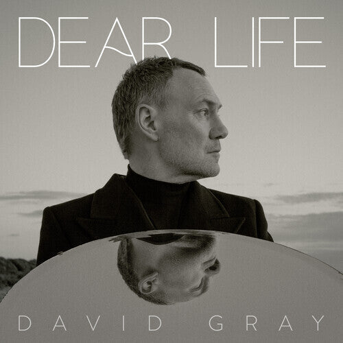 David Gray - Dear Life [Seaweed Green]