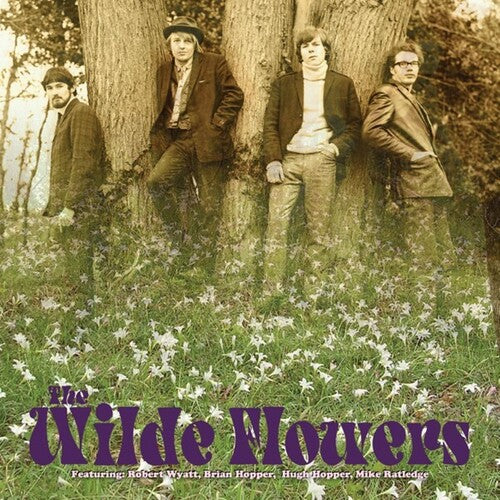 The Wilde Flowers - The Wilde Flowers