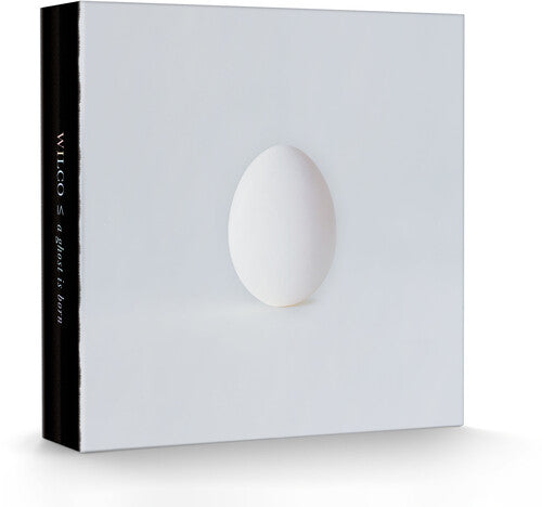 Wilco - A Ghost Is Born  (9LP Box set)