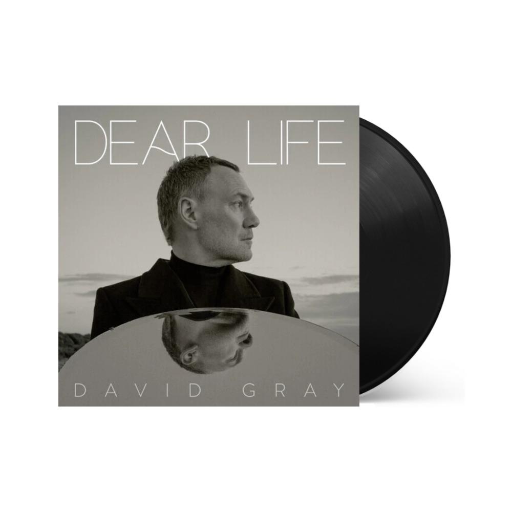 David Gray - Dear Life